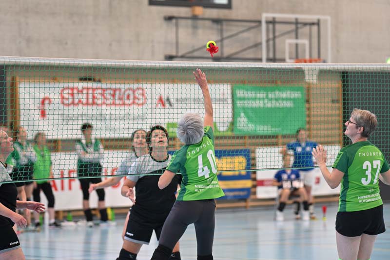 eital-indiaca-2025-12