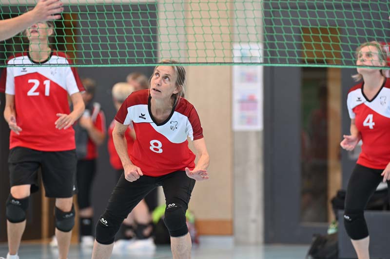 eital-indiaca-2025-18 eital-indiaca-2025-18